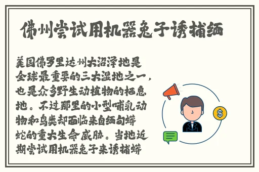 老公说看我大白兔怎么回复